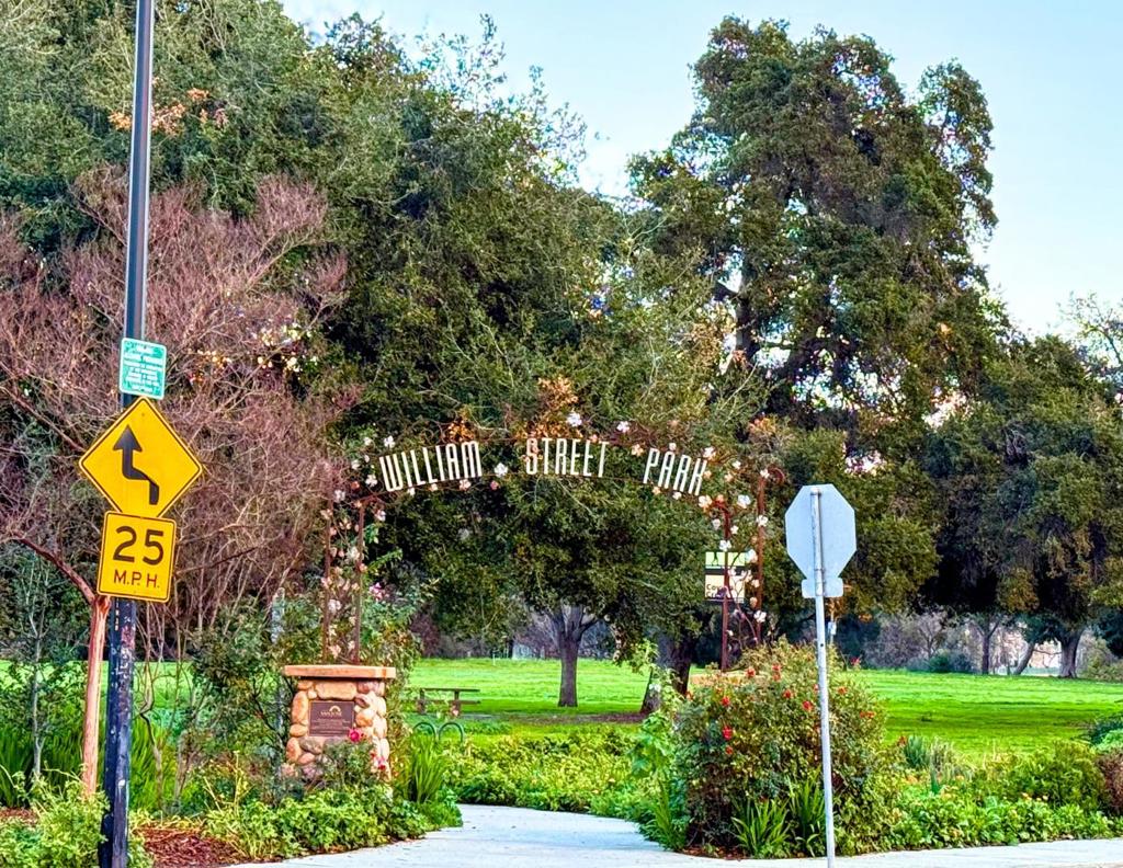 MLS #ML82029952 image #41