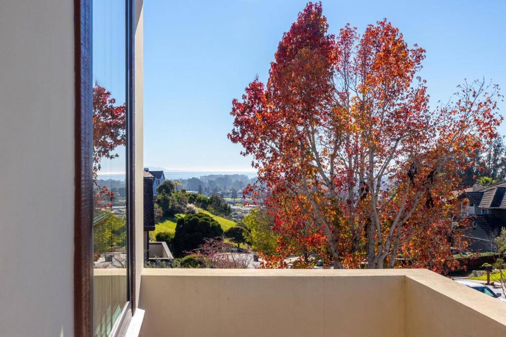 MLS #ML82031133 image #38