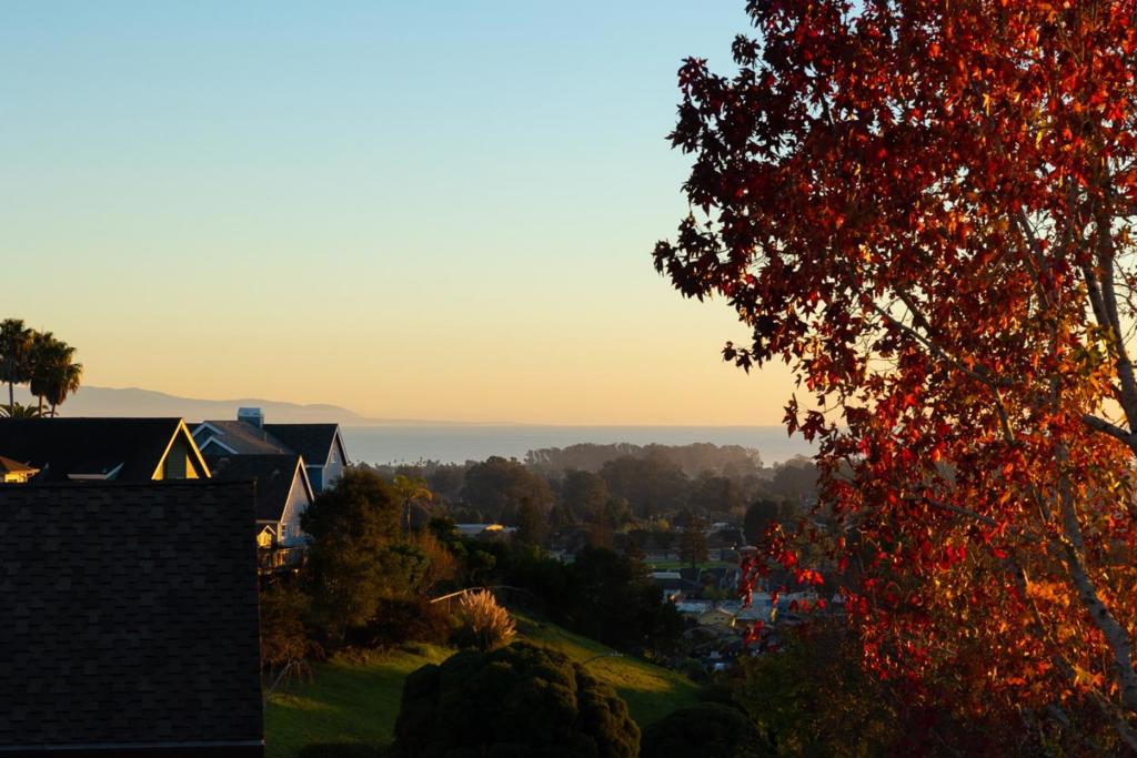 MLS #ML82031133 image #39