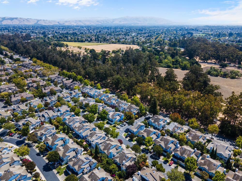 MLS #ML82031343 image #33