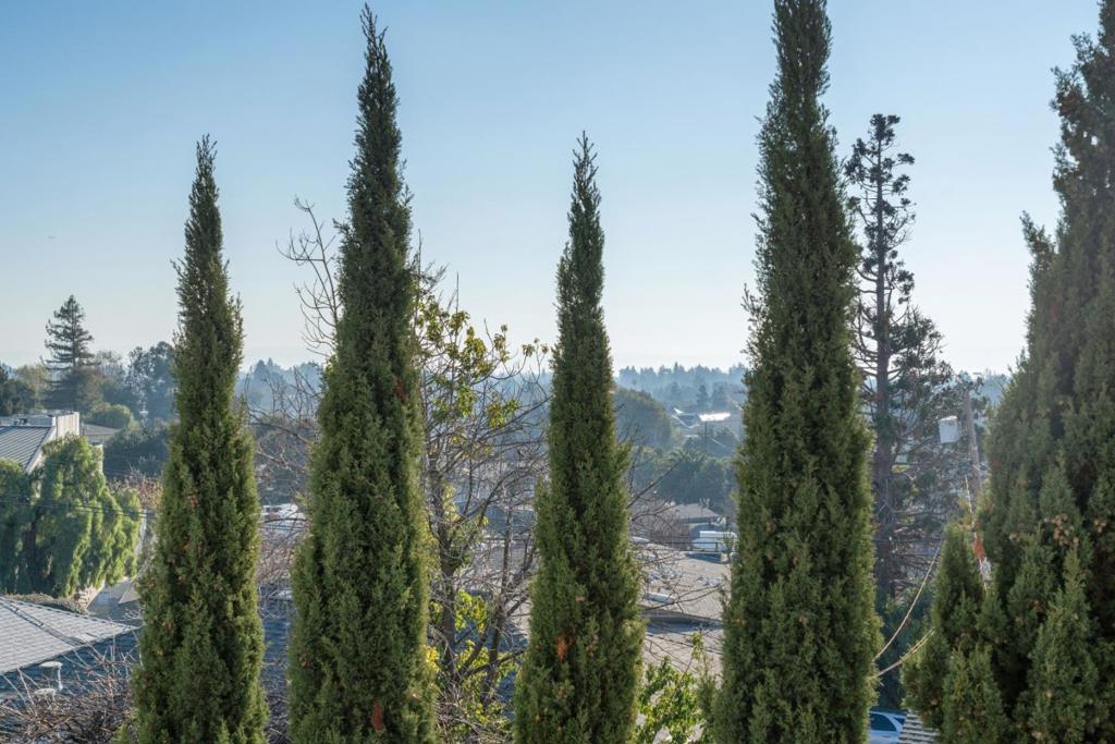 MLS #ML82031351 image #60