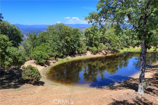 MLS #MP25102714 image #43