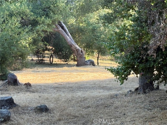 MLS #MP25127227 image #13