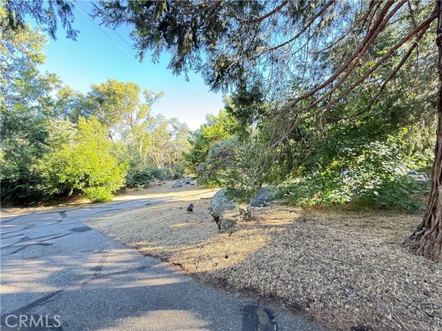 MLS #MP25127227 image #14