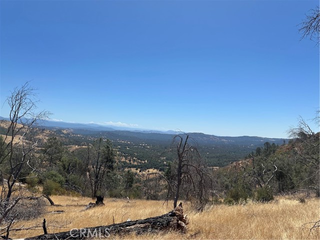 MLS #MP25166294 image #1