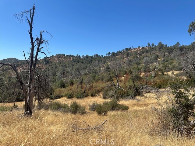 MLS #MP25166294 image #10