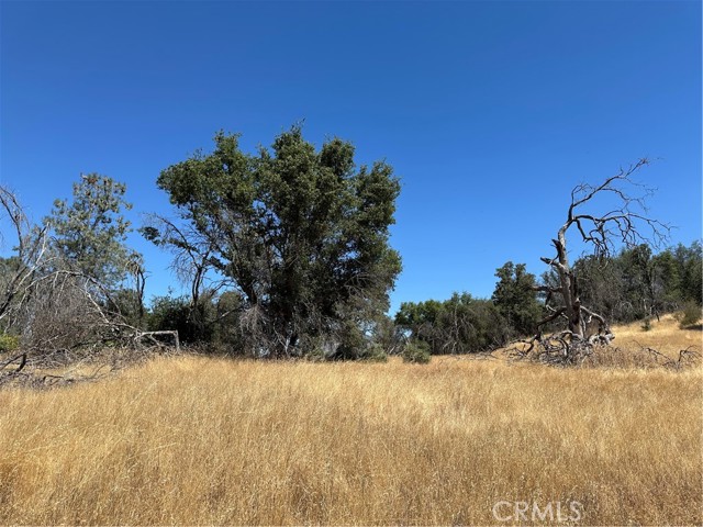 MLS #MP25166294 image #11