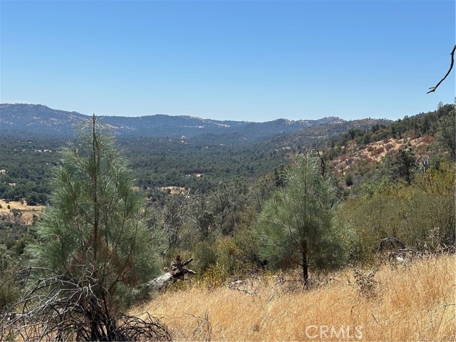 MLS #MP25166294 image #12