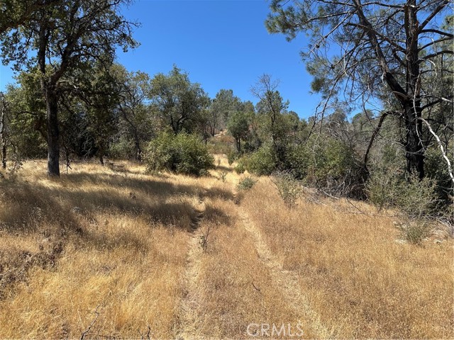 MLS #MP25166294 image #13