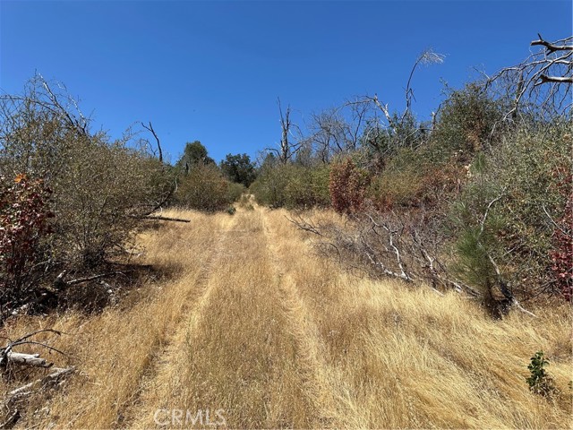 MLS #MP25166294 image #15