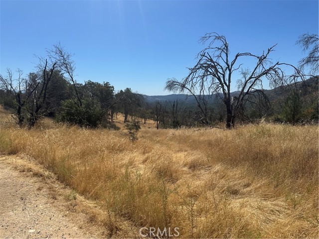 MLS #MP25166294 image #16