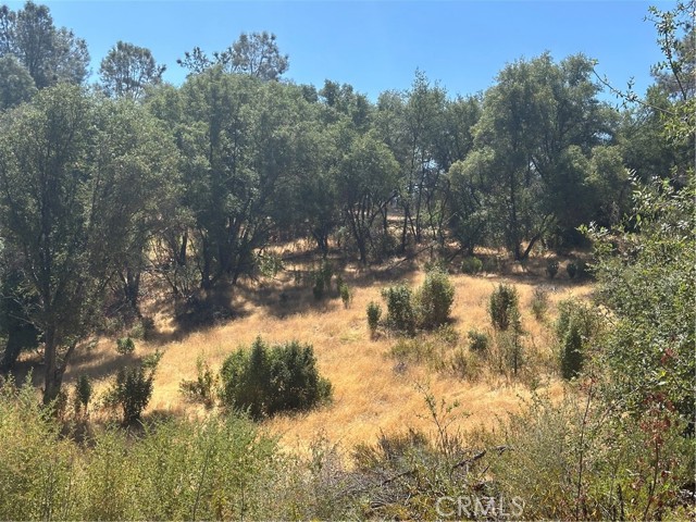 MLS #MP25166294 image #17