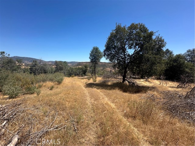 MLS #MP25166294 image #19