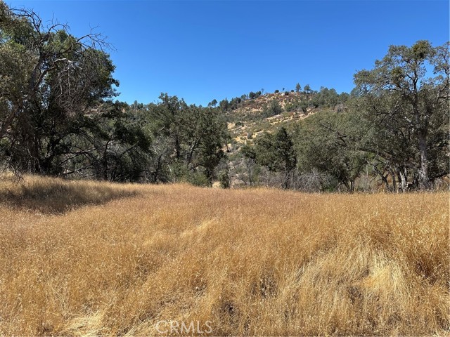 MLS #MP25166294 image #5