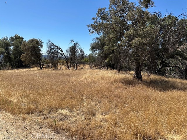 MLS #MP25166294 image #6