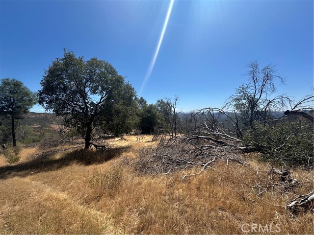 MLS #MP25166294 image #8