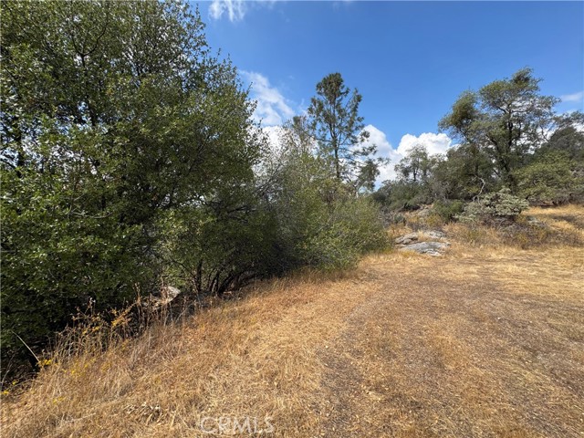 MLS #MP25222738 image #12