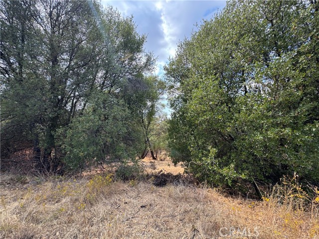 MLS #MP25222738 image #13