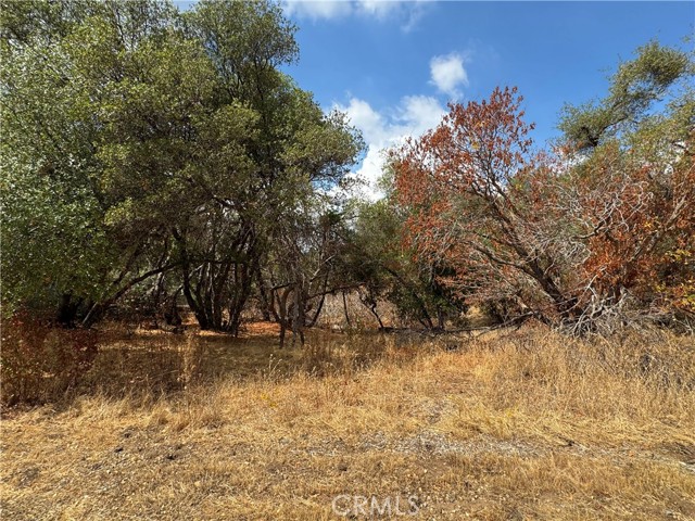 MLS #MP25222738 image #14