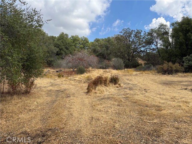 MLS #MP25222738 image #15