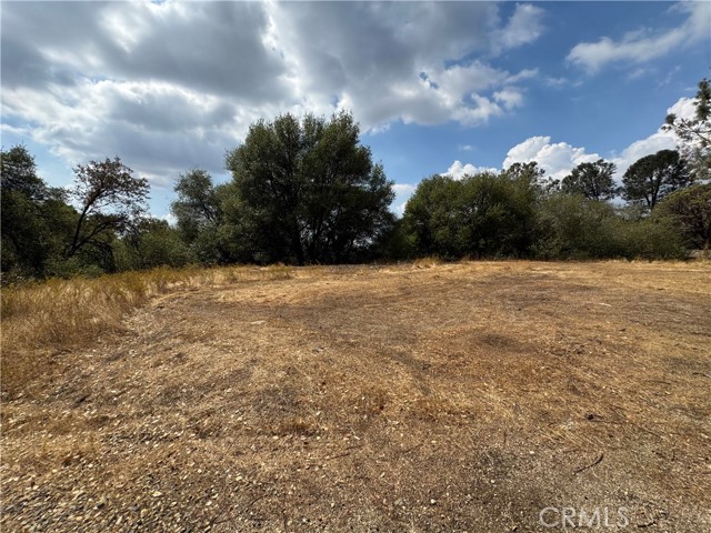 MLS #MP25222738 image #5