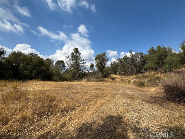 MLS #MP25222738 image #6