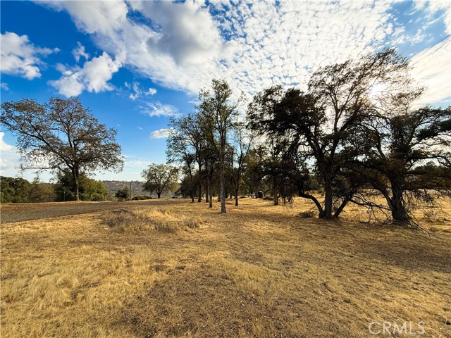 MLS #MP25236178 image #16