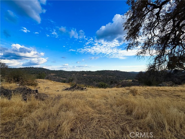 MLS #MP25236178 image #17