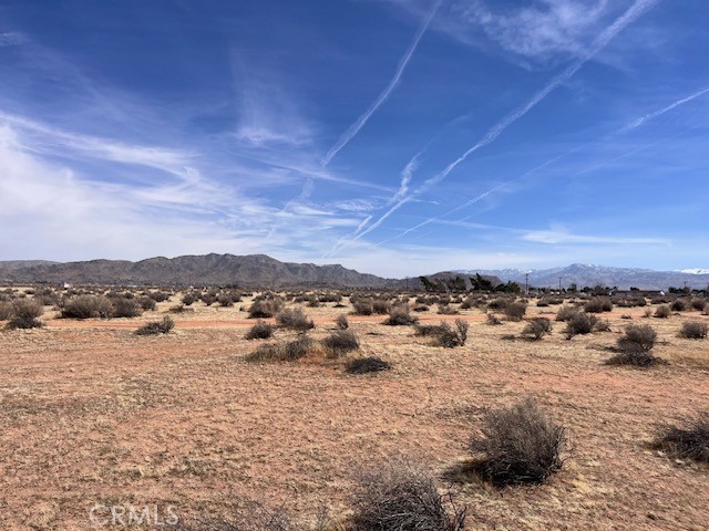 MLS #HD25222307 image #14