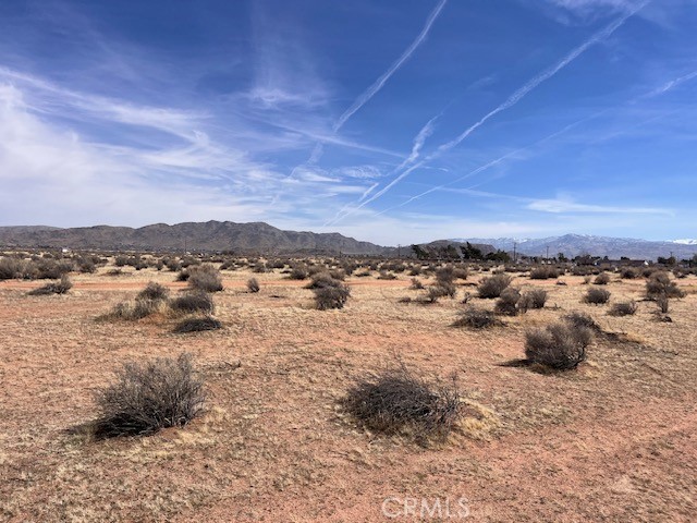 MLS #HD25222307 image #4