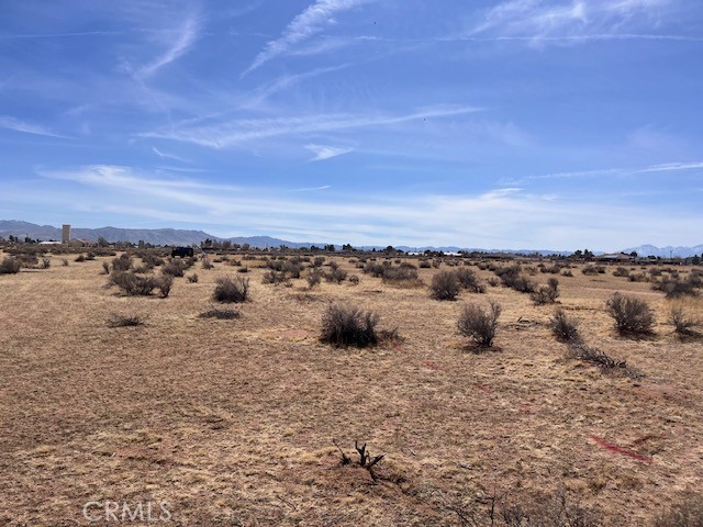 MLS #HD25222307 image #6