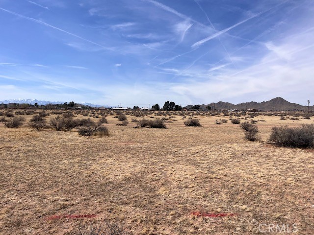 MLS #HD25222307 image #9