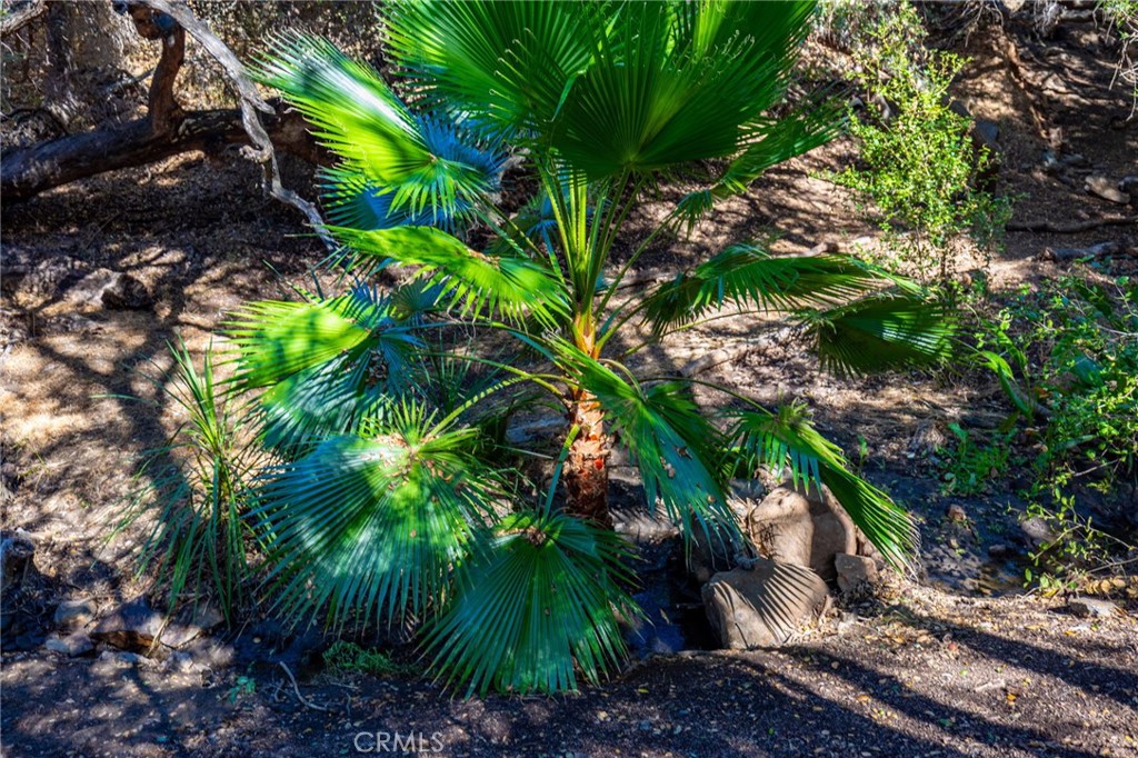 MLS #ND25247394 image #15