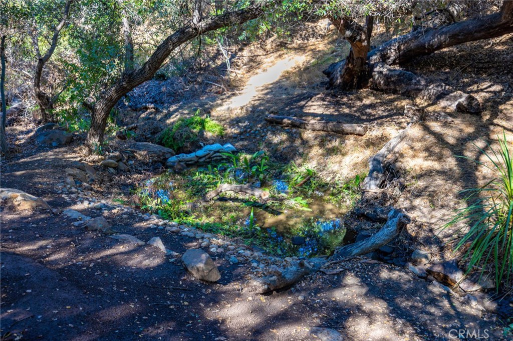 MLS #ND25247394 image #16