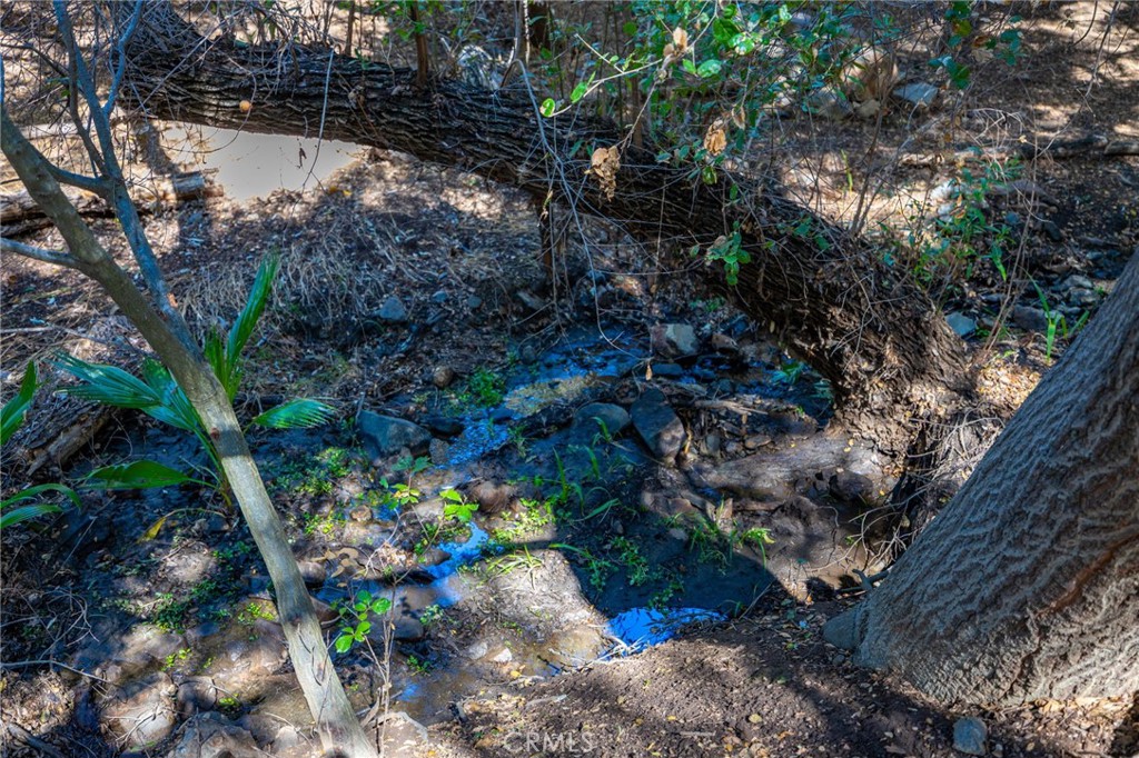 MLS #ND25247394 image #23