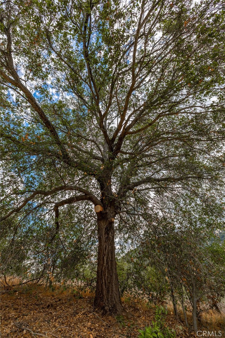 MLS #ND25247394 image #31