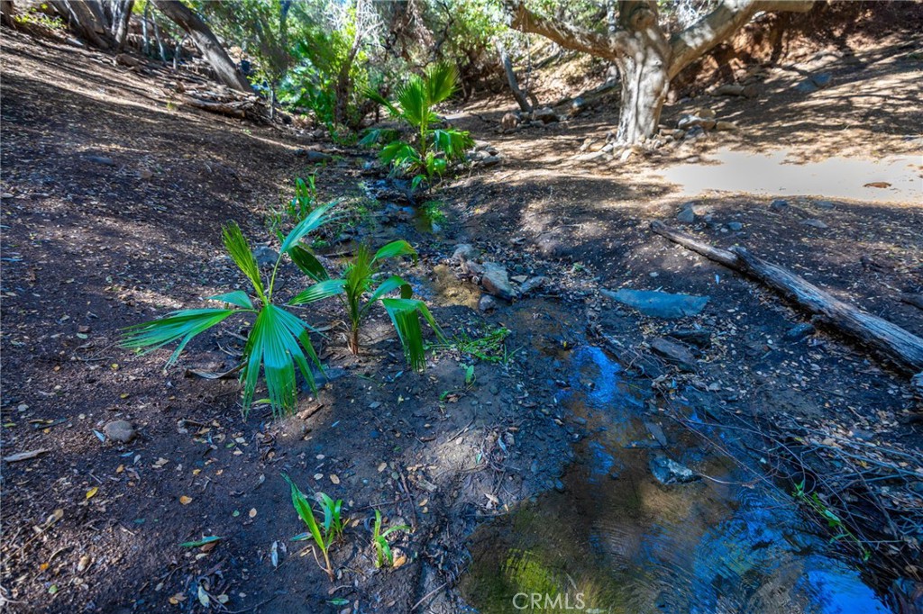 MLS #ND25247394 image #33