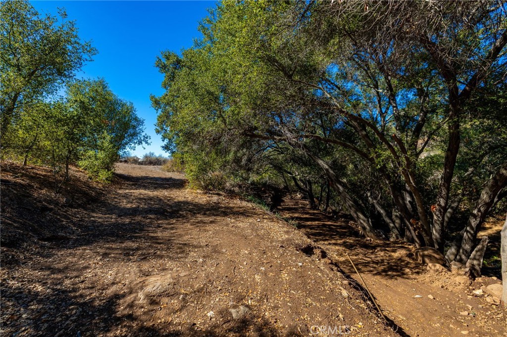 MLS #ND25247394 image #4