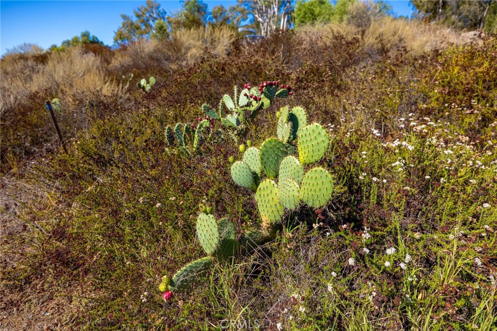 MLS #ND25247394 image #41