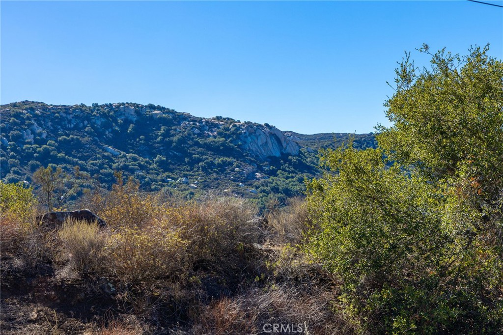 MLS #ND25247394 image #6