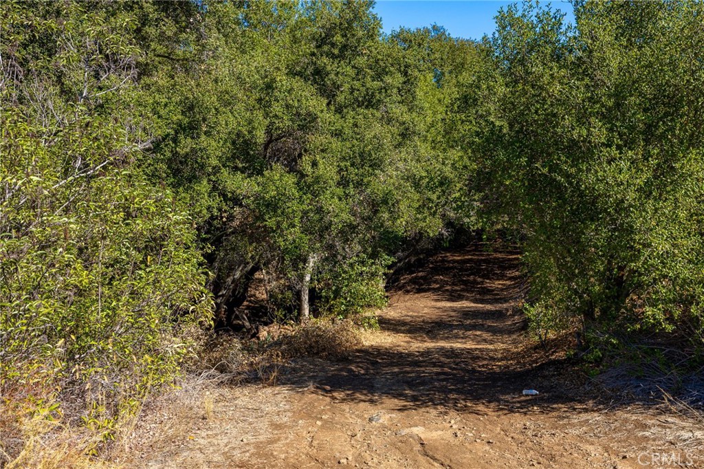 MLS #ND25247394 image #8