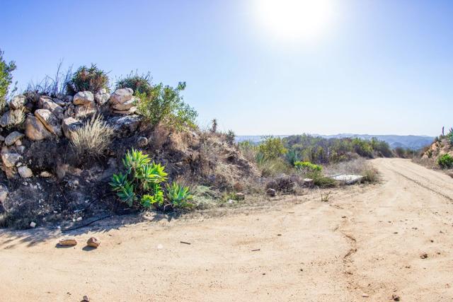 MLS #NDP2400534 image #18