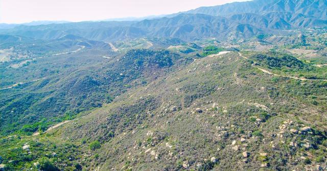 MLS #NDP2400534 image #35