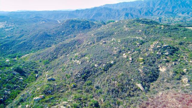 MLS #NDP2400534 image #36