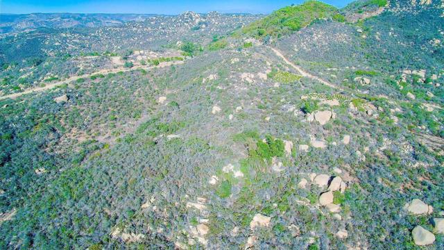 MLS #NDP2400534 image #37