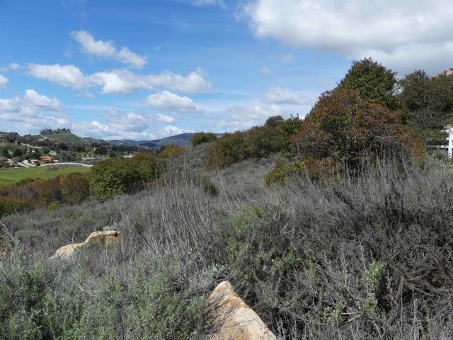 MLS #NDP2403881 image #4