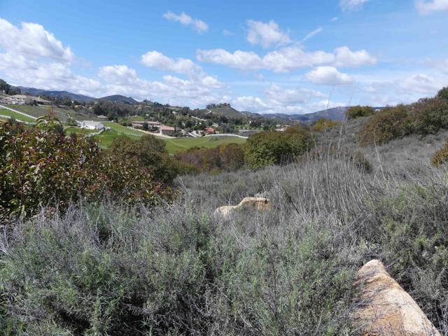 MLS #NDP2403881 image #7