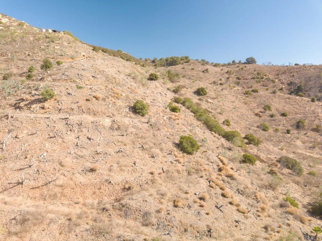 MLS #NDP2410175 image #12