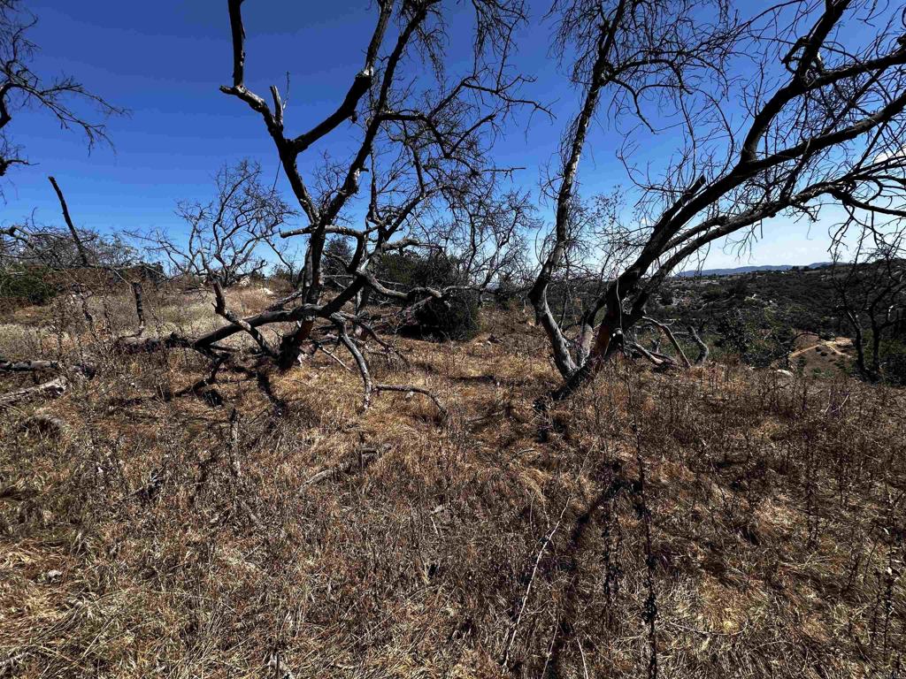 MLS #NDP2410175 image #15