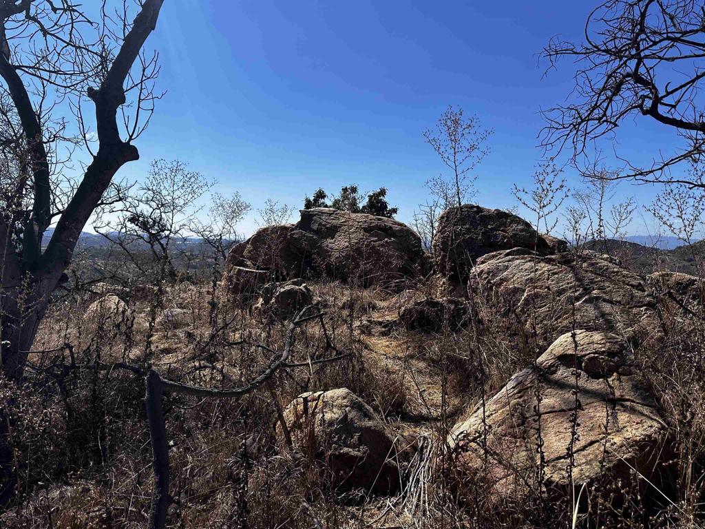 MLS #NDP2410175 image #16